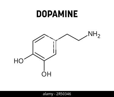 Dopamin-Molekularstruktur. Dopamin ist ein Neurotransmitter, der im menschlichen Körper eine wichtige Rolle spielt. Vektorstrukturformel der chemischen Verbindung. Stock Vektor