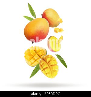 Köstliche Mangoblätter und Blätter auf weißem Hintergrund Stockfoto
