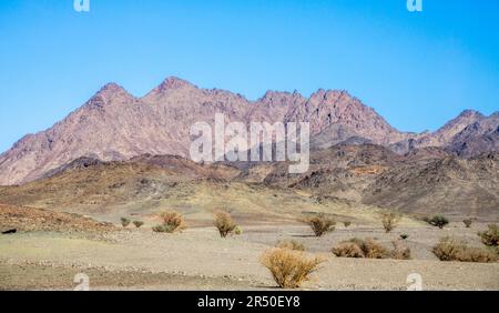 Wüstenlandschaft mit Bergen im Hintergrund, in der Nähe von Al Ula, Saudi-Arabien Stockfoto