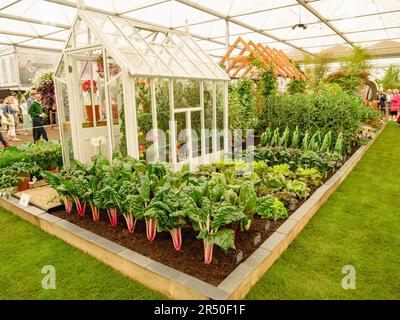 Gartenausstellungen im Pavillon bei der Chelsea Flower Show 23 Stockfoto