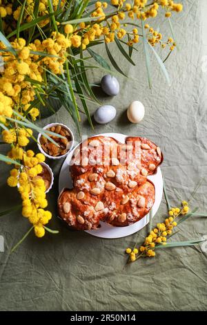 Colomba: traditioneller italienischer osterkuchen mit Mandeln, ostertisch mit Mimosa in einer Vase Stockfoto