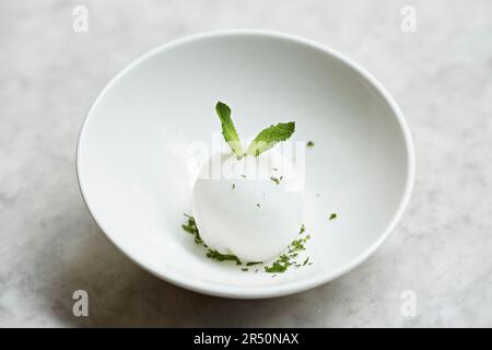 Zitronensorbet, garniert mit frischer Minze Stockfoto