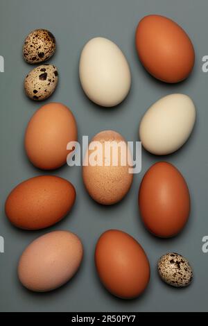 Frische braune und weiße Hühnereier und Wachteleier auf grauem Hintergrund Stockfoto