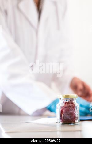 Qualitätssicherung und Labortests von Saffron am Maison du Safran in Taliouine, Marokko Stockfoto