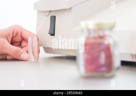 Safran-Qualitätskontrolle und -Tests im Maison du Safran Lab von Taliouine in Südmarokko Stockfoto