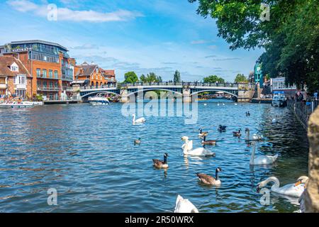 Blick auf die Themse an der Brücke zwischen Windsor und Eton in Berkshire, Großbritannien. Früh im Sommer mit blauem Himmel und Wasser. Stockfoto