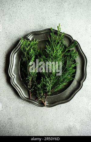 Alte Metallplatte mit immergrünen Thuja-Zweigen auf Betonboden Stockfoto