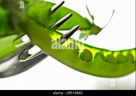 Erbsenschale auf der Gabel (Nahaufnahme) Stockfoto