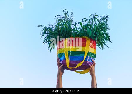 Leuchtend aussehende Frau in rotem T-Shirt und gelbem Rock mit LGBT-Farben Beutel voller Canabis . Hochwertiges Foto Stockfoto