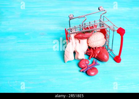Miniatur-Einkaufswagen gefüllt mit kleinen anatomischen Modellen menschlicher Organe, auf der Seite umgekippt. Kreative Organspende und Transplantation c Stockfoto