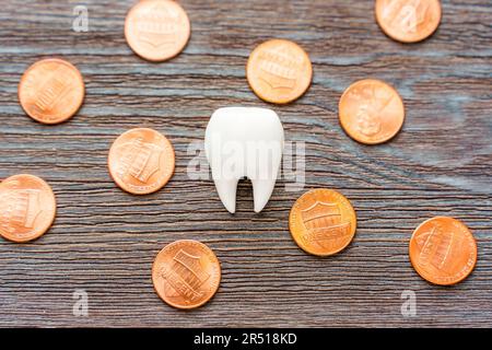 Weißes menschliches Zahnmodell zwischen 1-Cent-Münzen auf einem Holztisch. Kreative zahnärztliche Gesundheit, Kosten- und Budgetkonzept. Stockfoto