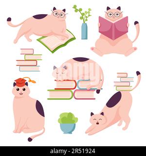 CAT Character Study Flat Collection. Eine Gruppe cleverer Katzenfiguren, die ein Buch lesen. Vektordarstellung im Cartoon-Design. Stock Vektor
