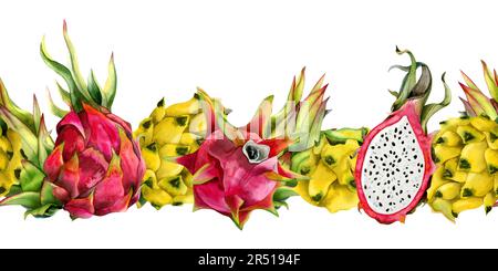 Rotes und gelbes Drachenobst, vollst. und halbes Pitahaya, wasserfarbenes, nahtloses Banner. Botanisches horizontales Banner Stockfoto