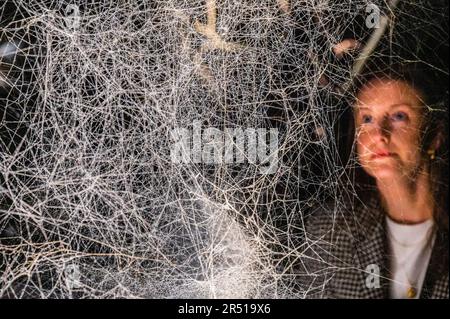 London, Großbritannien. 31. Mai 2023. Web(s) of Life von Tomás Saraceno eine neue Ausstellung auf der Serpentine South. Es erforscht verschiedene Formen des Wissens und nichtmenschliche Perspektiven durch eine Reihe von Kunstwerken und Erlebnissen, die sich über die Wände der Galerie hinaus bis in den Park erstrecken. Die Galerie wurde angepasst, um Tiere, Pflanzen und Menschen jeden Alters unterzubringen. Sie lädt die Artenvielfalt des Parks ein und lädt zum ersten Mal Tiere in die Galerie ein. Kredit: Guy Bell/Alamy Live News Stockfoto