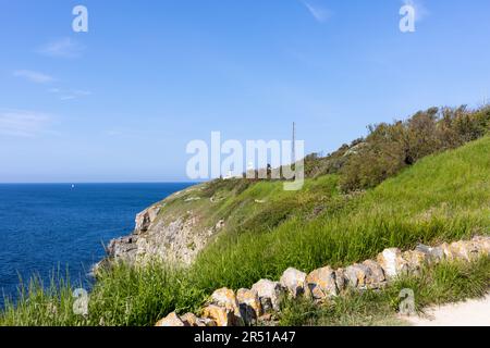 Fernblick auf den Leuchtturm am Anvil Point im Durlston Country Park in der Nähe von Swanage, Dorset, Großbritannien Stockfoto