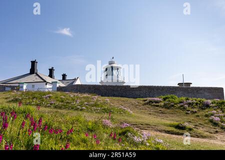 Morgenblick auf Anvil Point Lighthouse, Durlston Country Park, Dorset, England, Großbritannien Stockfoto