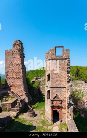 Innenhof der Ruinen von Madenburg, Eschbach, Pfalz, Rheinland-Pfalz, Deutschland, Europa Stockfoto