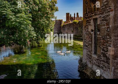 Bischofspalast und Gärten, Wells, Somerset Stockfoto