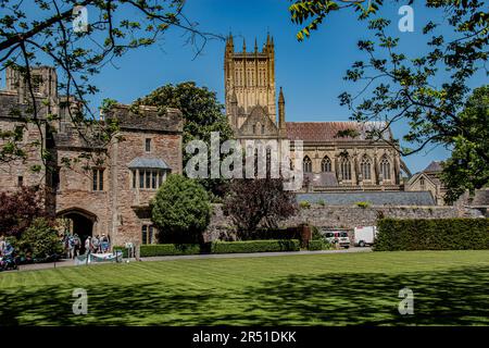 Bishop's Palace & Gardens, City of Wells, Somerset, Großbritannien Stockfoto