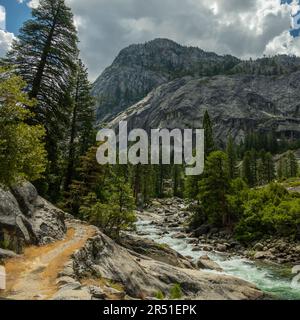 Der Trail biegt sich um Corner entlang des rauschenden Tuolumne River in der Yosemite Wilderness Stockfoto