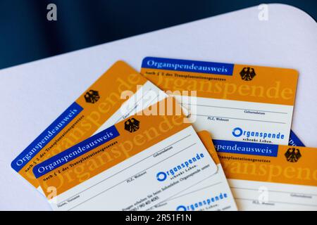 Düsseldorf, Deutschland. 31. Mai 2023. Organspenderkarten, aufgenommen auf einer Pressekonferenz am Organspendetag mit Gesundheitsminister Laumann (CDU) auf der staatlichen Pressekonferenz im landesparlament. Der Tag der Organspende ist der 03. Juni. Kredit: Rolf Vennenbernd/dpa/Alamy Live News Stockfoto