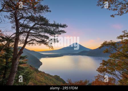 Mt. Fuji, Japan am See Motosu während der Herbstsaison in der Morgendämmerung. Stockfoto