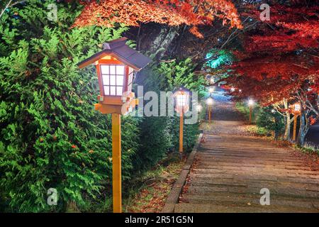 Fujiyoshida, Japan Laternen führen in der Herbstsaison vom Arakura Sengen-Schrein in der Dämmerung. Stockfoto