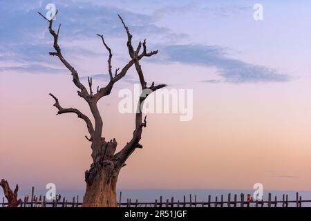 Die U-Bein-Brücke in Mandalay, Myanmar bei Sonnenaufgang. Stockfoto