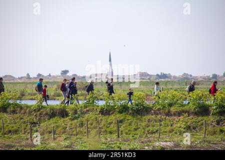 Marais salants sur l'ile de ré, Frankreich Stockfoto