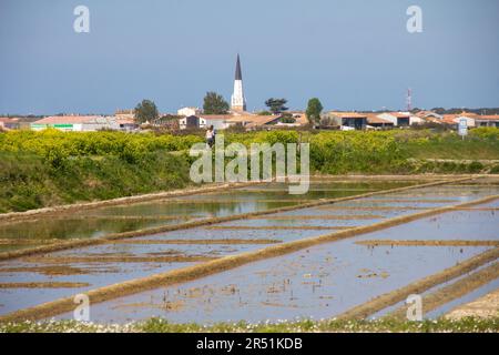 Marais salants sur l'ile de ré, Frankreich Stockfoto