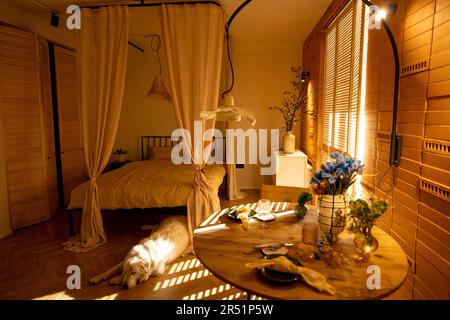 Sonniges und gemütliches Studio-Apartment Stockfoto