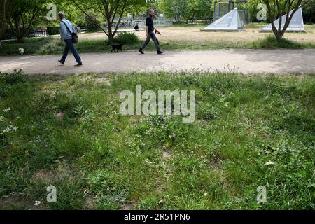 31. MAI 2023/ winzige Blumen und Büsche in der Natur in der dänischen Hauptstadt Kopenhagen Dänemark. (Foto: Francis Joseph Dean/Dean Pictures) Stockfoto