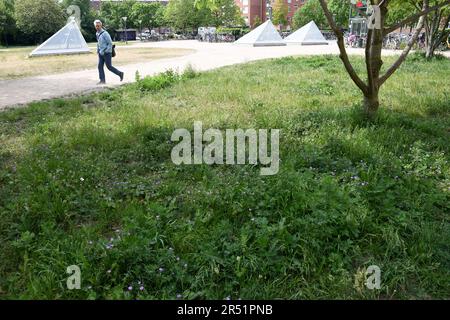 31. MAI 2023/ winzige Blumen und Büsche in der Natur in der dänischen Hauptstadt Kopenhagen Dänemark. (Foto: Francis Joseph Dean/Dean Pictures) Stockfoto