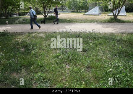 31. MAI 2023/ winzige Blumen und Büsche in der Natur in der dänischen Hauptstadt Kopenhagen Dänemark. (Foto: Francis Joseph Dean/Dean Pictures) Stockfoto