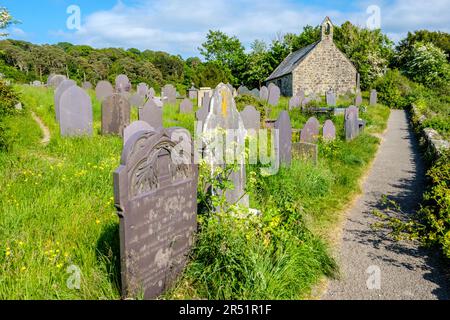 Eglwys Sant Tysilio / St. Tysilio's Church auf einer Gezeiteninsel in der Menai Straights, Anglesey, Wales Stockfoto