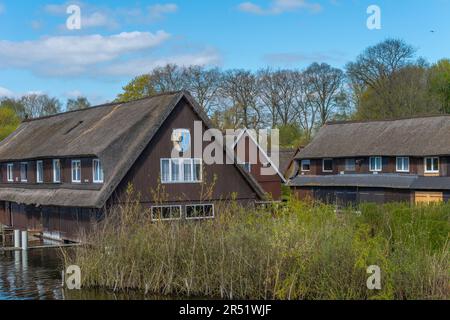 Traditionelle strohgedeckte Fischerhütten am Müritz, Landstadt Roebel, Mecklenbrug-Seengebiet, Mecklenburg-Westpommern, Ostdeutschland Stockfoto