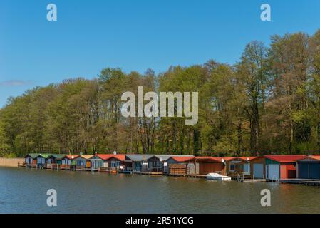 Bootshäuser in Mirow, Mecklenburg-Seengebiet, Mecklenburg-Vorpommern, Ostdeutschland, Europa Stockfoto