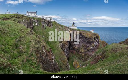 Leuchtturm von St. Abbs Head, Nebelhorn und Leuchtturmwärterhaus auf Felsenklippen mit flachem, ruhigem blauen Meer und Horizont im Hintergrund. Stockfoto