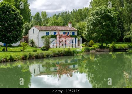 Der Fluss Sèvre Niortaise und die Umgebung von Marais Poitevin in der Nähe des Dorfes Coulon im französischen Departement Deux-Sevres Stockfoto