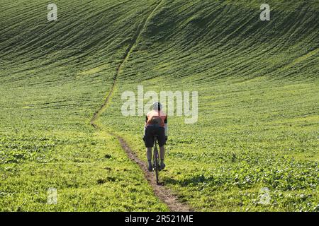 Ein Radfahrer steigt einen steilen Hügel hinab in ein Tal im South Downs National Park nördlich von Rottingdean. (Der Weg geht nach unten und dann wieder nach oben!) Stockfoto