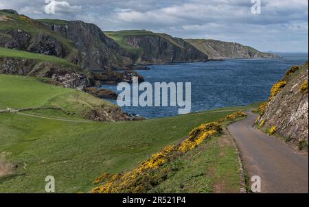 Sonnenbeleuchtete Zufahrtsstraße nach St. Abbs Head, Schottland mit blauem Meer und schattigen Küstenklippen unter hellem bewölktem Himmel im Hintergrund. Stockfoto