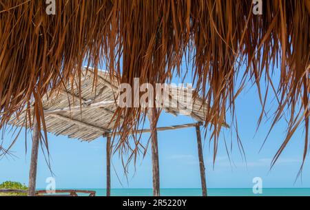 Strohgedeckte Palapa-Gebäude mit blauem, ruhigem Meer, Küste des Golfs von Mexiko, Celestun, Yucatan, Mexiko Stockfoto