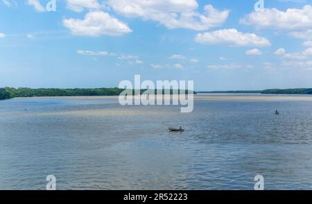 Salzwasserlagune und Mangrovenwald, Küste des Golfs von Mexiko, Celestun, Yucatan, Mexiko Stockfoto