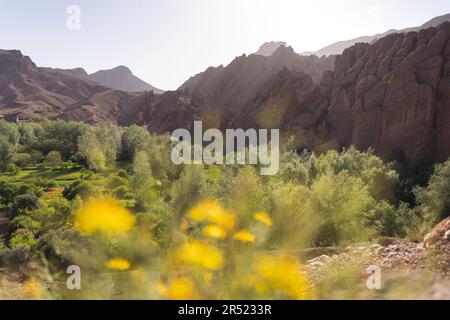 Malerischer Blick auf grüne Bäume, die an einem sonnigen Sommertag am Berghang wachsen, mit hellblauem Himmel und gelben, verschwommenen Blumen Stockfoto