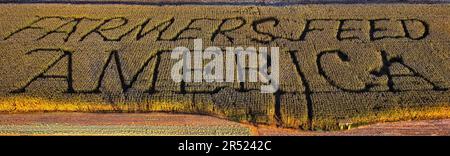 Farmers Feed America Patch - Luftaufnahme der Schilder Farmers Feed America in einem Maislabyrinth, mit Kürbisfeld und Berg im Hintergrund während der Erbse Stockfoto