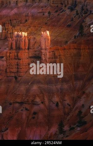 Bryce Canyon Sunglow - wunderschöne warme Farben bedecken die Landschaft des Bryce Canyon NP mit der größten Anzahl an Hoodoos auf der Erde. Dieses Bild ist Stockfoto