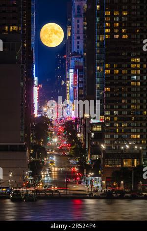 Moonrise Times Square NYC - Blick auf die 42. Street, den Times Square und den Mond, der in Midtown Manhattan in New York City aufgeht. Dieses Bild ist ebenfalls verfügbar Stockfoto