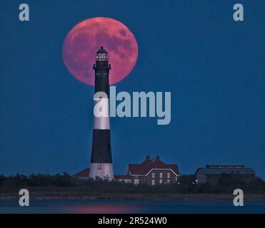 Fire Island Light Moonrise - der Vollerntmond erhebt sich hinter dem Fire Island Lighthouse. Der Fire Island Lighthouse ist der höchste Leuchtturm auf Long Isl Stockfoto