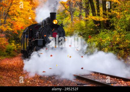 Lokomotive Nr. 40 Dampfeisenbahn - Blick auf die fahrende Dampfeisenbahn, umgeben von den warmen Herbstfarben in New England. Nein. 40 ist unter 200 Stockfoto