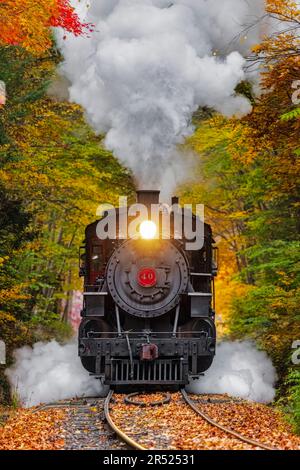 Dampflokomotive Nr. 40 - Blick auf die fahrende Dampfeisenbahn, umgeben von den warmen Herbstfarben in New England. Nein. 40 ist unter 200 Stockfoto